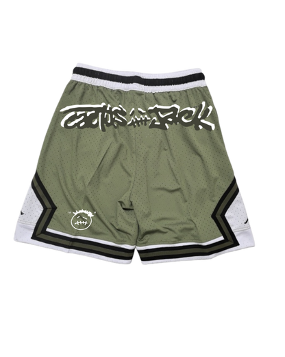 Travis Scoot X Jordan Short Green