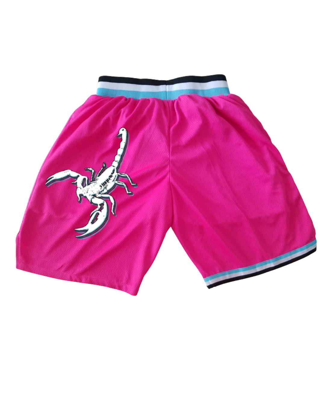 Young Miko  X Shorts Miami Heat